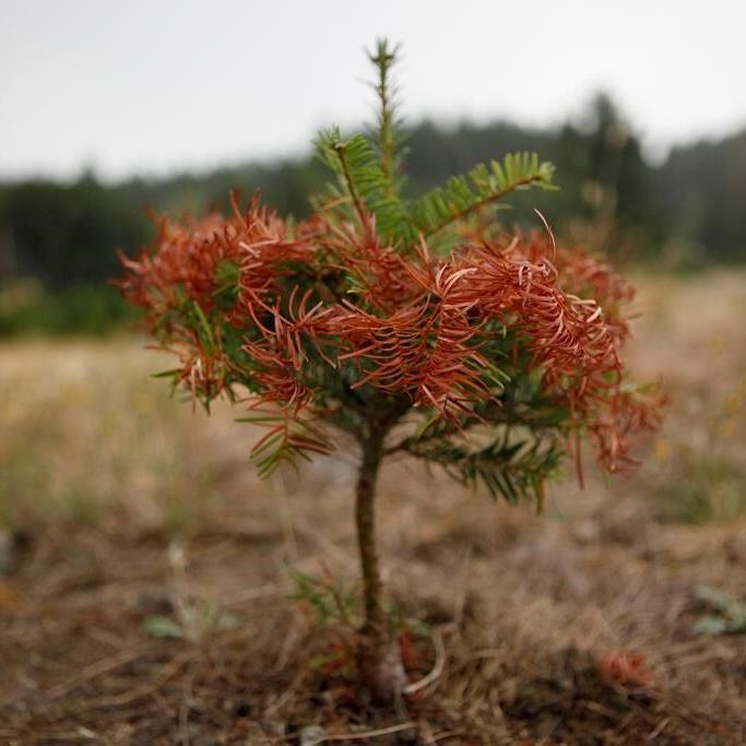 B.C. warns of summer drought, asks people to conserve water
